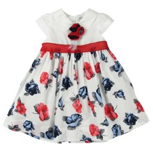 Плаття для дівчинки Baby Rose (код товара: 2533)