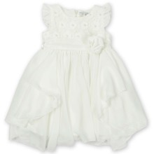 Нарядне плаття для дівчинки Baby Rose оптом (код товара: 2947)