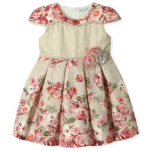 Плаття для дівчинки Baby Rose (код товара: 4551)