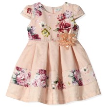 Плаття для дівчинки Baby Rose (код товара: 4563)