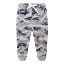 Штани для хлопчика сірі Динозаври (код товара: 48647)