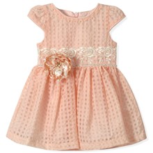 Плаття для дівчинки Baby Rose (код товара: 4947)