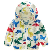 Куртка-ветровка для мальчика с принтом динозавров Painted dinosaurs оптом (код товара: 51175)
