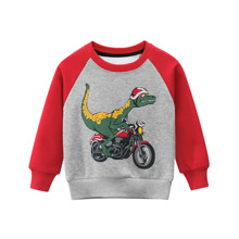 Свитшот для мальчика утеплённый Динозавр-гонщик оптом (код товара: 52211)
