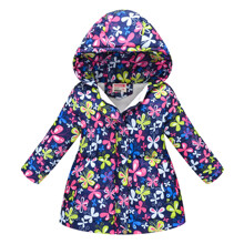 Куртка для девочки демисезонная с принтом бабочки Butterflies оптом (код товара: 52317)