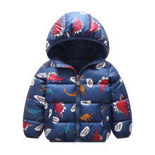 Куртка для мальчика демисезонная Тираннозавр оптом (код товара: 53251)