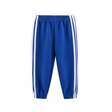Штани для хлопчика Sport, синій оптом (код товара: 54308)