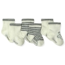 Шкарпетки для хлопчика Caramell (3 пари) оптом (код товара: 5609)