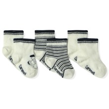 Шкарпетки для хлопчика Caramell (3 пари) оптом (код товара: 5610)