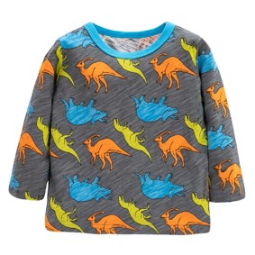 Лонгслив для мальчика Colorful dinosaurs