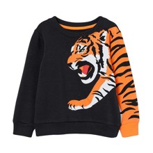 Свитшот для мальчика утепленный Tiger (код товара: 56865)