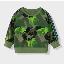 Свитшот для мальчика с изображением динозавров зеленый Green camouflage (код товара: 57240)