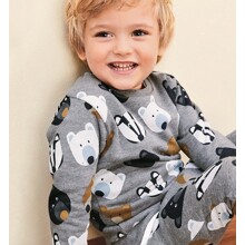 Костюм для мальчика 2 в 1 серый Colored bears оптом (код товара: 57523)