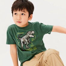 Футболка для мальчика с рисунком динозавр зеленая Big Rex оптом (код товара: 58949)