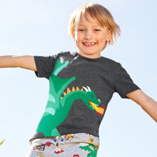 Футболка для хлопчика з малюнком динозавра сіра Fire Dragon оптом (код товара: 60017)