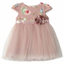 Плаття для дівчинки Baby Rose оптом (код товара: 6159)